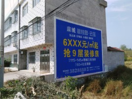  普格墙体广告质量分析