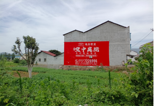  普格做墙体广告的意义